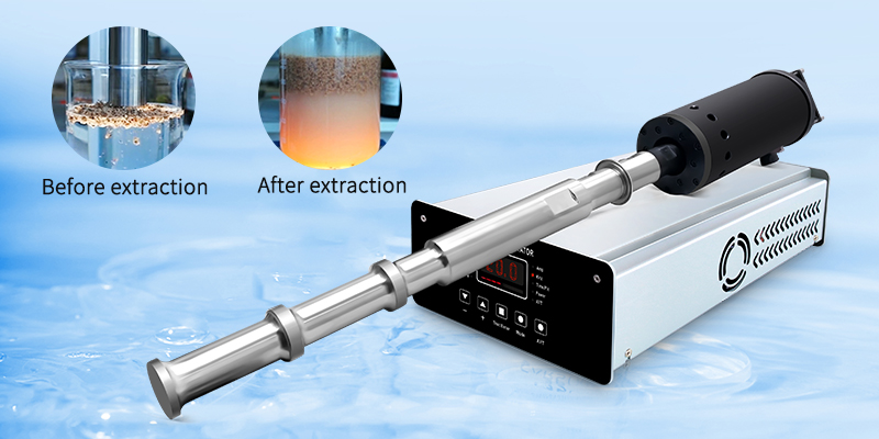 ¿¿ puede el extractor ultrasónico extraer compuestos de algas del océano?